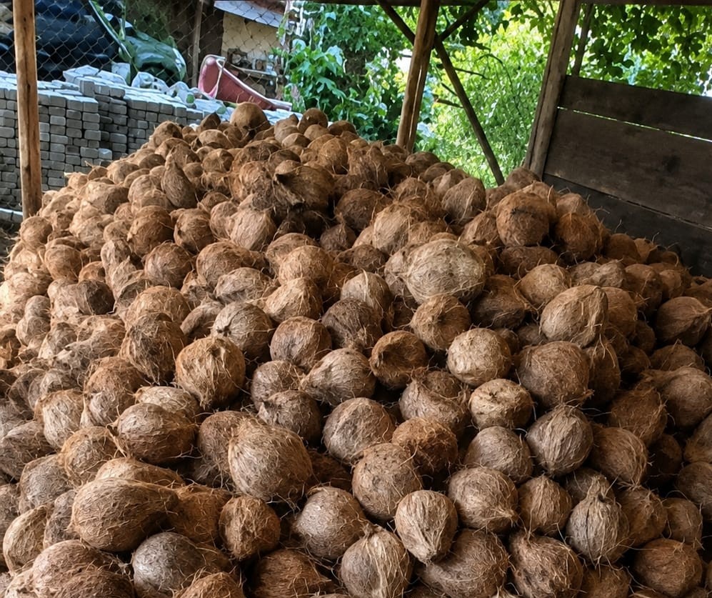 Quality FARMORA coconut products